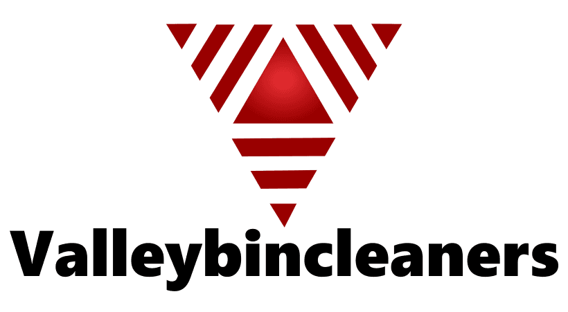 valleybincleaners.com